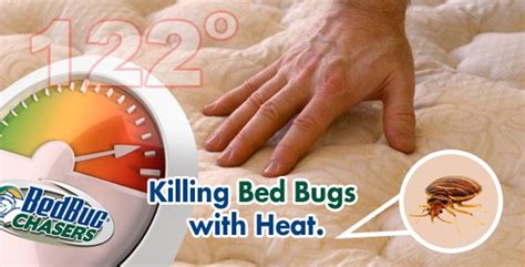 Killing bed bugs with heat. Things To Know About Killing bed bugs with heat. 
